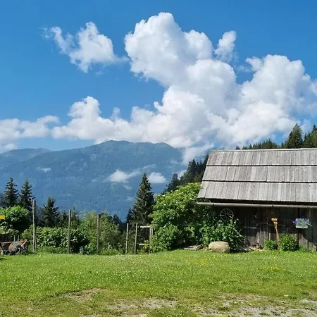 Rabensteiner Διαμέρισμα Bad Kleinkirchheim