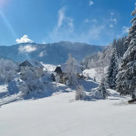 Rabensteiner - Panorama Apartments - Bad Kleinkirchheim Appartement *