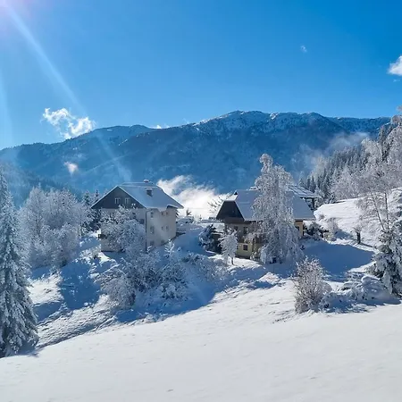 Apartament Rabensteiner - Panorama - *