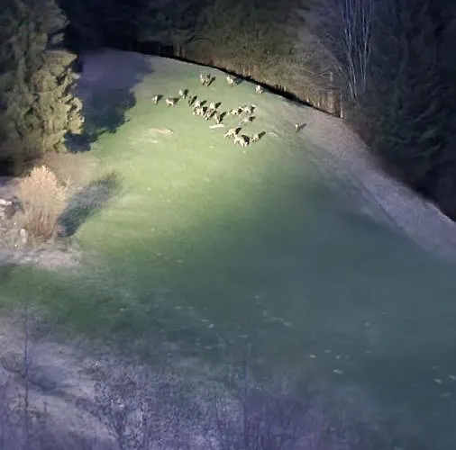 Rabensteiner Apartman